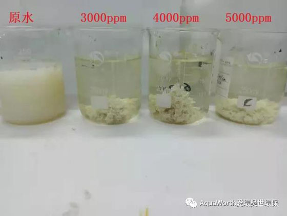 1636342633906341.jpg 3.jpg