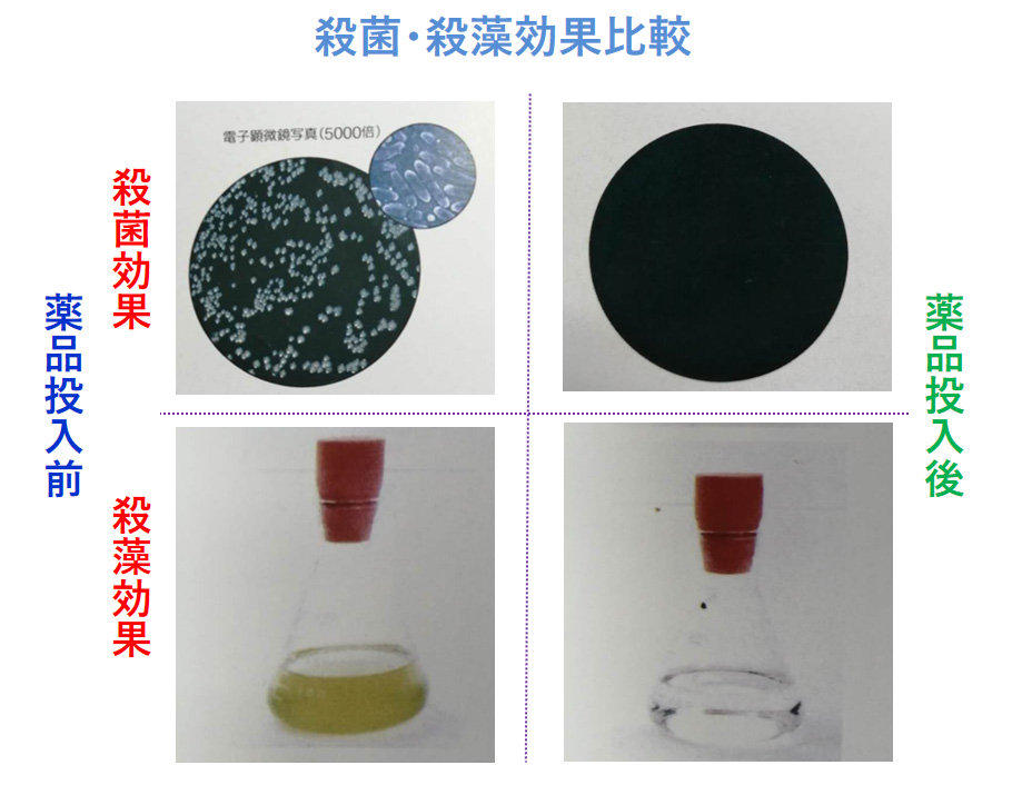 1699593358820615.jpg 11-2.jpg